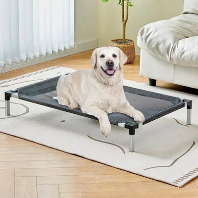 Folding Pet Camping Bed