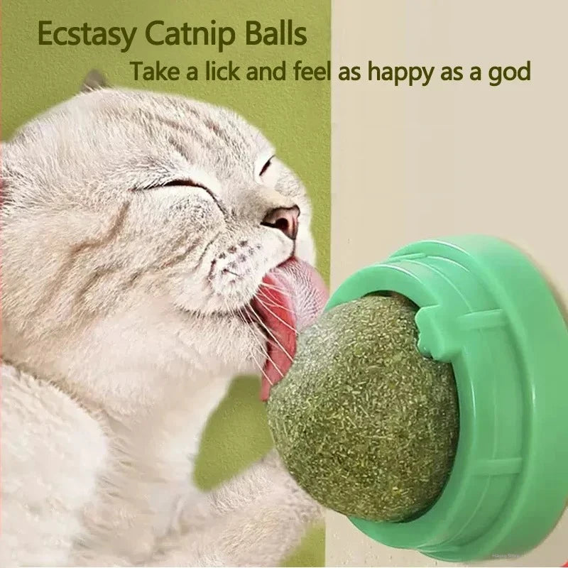 Natural Catnip Scratching Post for Cat Scrapers