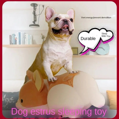 Pets Dogs Interactive Dog Toys