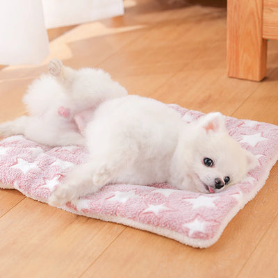 Cushion Washable Dog Puppy Bed