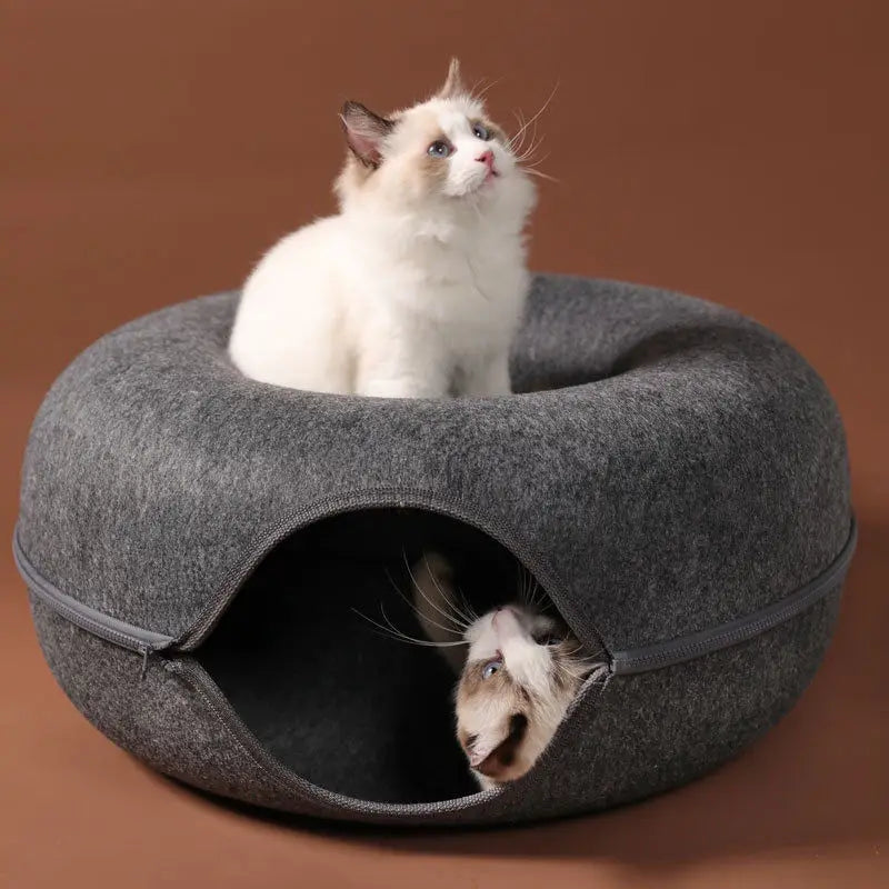 Pet Cat Tunnel Interactive Game