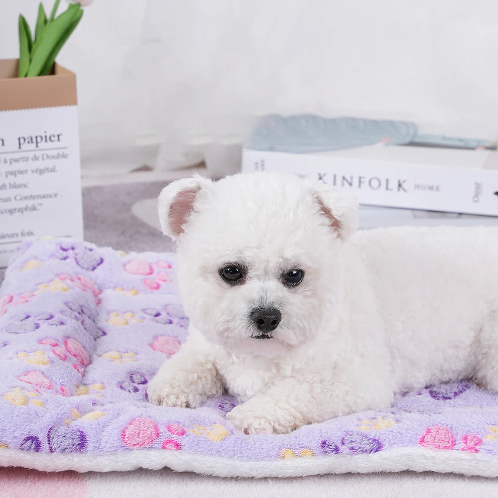 Cushion Washable Dog Puppy Bed